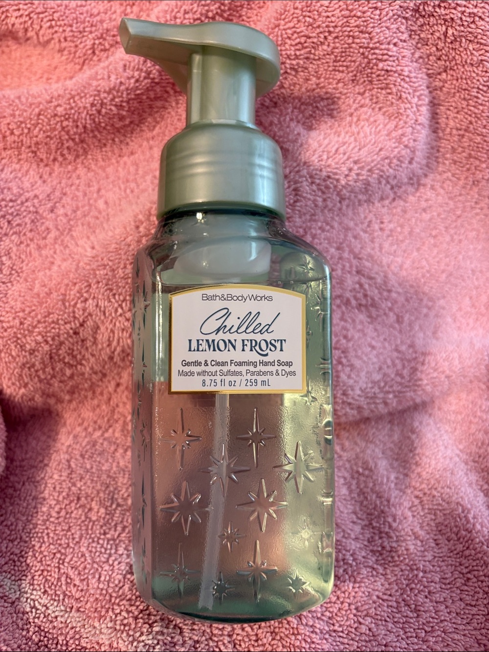 NEW Bath & Body Works Chilled Lemon Frost Gentle & Clean Foaming Hand Soap